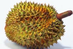 榴蓮怎么催熟？榴蓮沒(méi)熟怎么催熟？[圖]