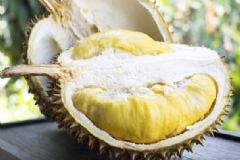 榴蓮吃多了會(huì)怎么樣？榴蓮吃太多會(huì)怎么樣？[圖]