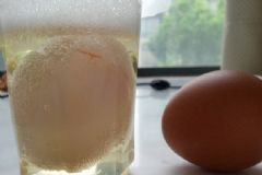 醋泡雞蛋的副作用有哪些？醋泡雞蛋有什么危害？[圖]