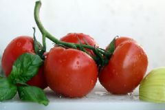 西紅柿是涼性食物嗎？西紅柿性寒還是性溫？[圖]