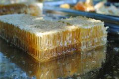 蜂巢蜜有激素嗎？蜂巢蜜含有雌激素嗎？[圖]