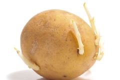 幾種易引起食物中毒的常見蔬菜有哪些？容易中毒的食物[圖]