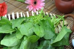 菠菜是酸性還是堿性？菠菜是酸性的嗎？[圖]