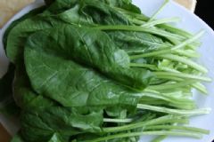 菠菜根能吃嗎？菠菜根的功效與作用[圖]