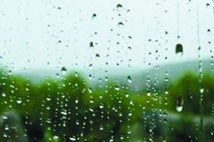 潮濕天氣吃什么好？天氣潮濕吃什么好？[圖]