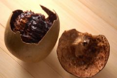 羅漢果不能和什么食物一起吃？羅漢果的飲食禁忌有哪些？[圖]