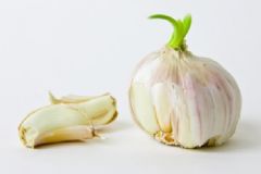 吃發(fā)芽的大蒜有什么好處？吃發(fā)芽的大蒜好處有哪些？[圖]