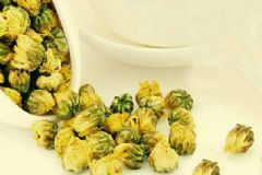 胎菊有什么功效？胎菊的功效與作用[圖]