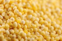 小米怎么吃對(duì)胃好？小米的吃法有哪些？[圖]