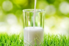 牛初乳會導(dǎo)致性早熟嗎？小孩吃牛初乳會性早熟嗎？[圖]