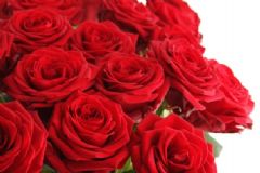 玫瑰花有什么功效？玫瑰花有哪些藥用價值？[圖]