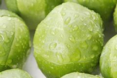 甘藍(lán)有什么養(yǎng)生功效？甘藍(lán)的食療方法有哪些？[圖]