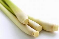 香茅草的功效與作用有哪些？香茅草有什么作用？[圖]