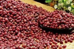 紅豆減肥法真的有效嗎？紅豆減肥多久見效？[圖]
