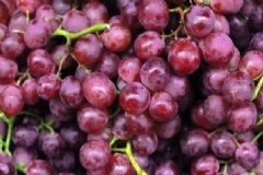 花青素含量高的水果有哪些？含花青素的水果？[圖]