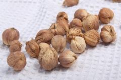 豆蔻是怎么？豆蔻的種子有什么功效？[圖]