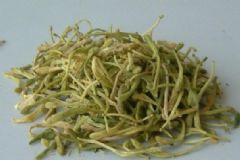 金蓮花與金銀花的區(qū)別？金蓮花和金銀花的區(qū)別？[圖]