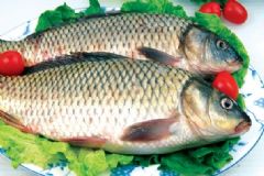 孕婦吃鯉魚有什么好處？孕婦吃鯉魚好嗎？[圖]