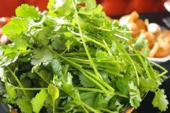 香菜的營(yíng)養(yǎng)價(jià)值高嗎？香菜怎么吃最好？[圖]