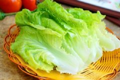生菜能生吃嗎？生菜可以生吃嗎？[圖]