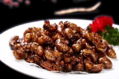 蟬蛹和什么不能一起吃？蟬蛹的食用禁忌是什么？[圖]