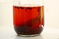 人參和靈芝能一起泡酒嗎？人參和靈芝一起泡酒可以嗎？[圖]