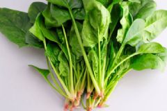 菠菜有什么功效？吃菠菜的好處有哪些？[圖]