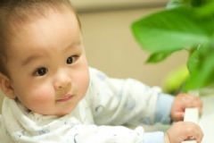孩子缺鈣的癥狀有哪些？孩子有哪些補鈣的方法？[圖]