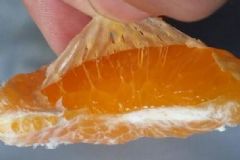 橘子內皮能吃嗎？橘子的內皮可以吃嗎？[多圖]