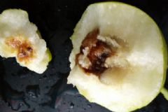 梨子黑心了還能吃嗎？梨子核變黑了還鞥吃嗎？[多圖]