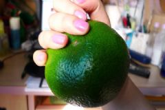 橘子是苦的正常嗎？橘子為什么是苦的？[多圖]
