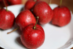女性卵巢保養(yǎng)吃什么食物好？吃什么補充雌激素安全？[圖]