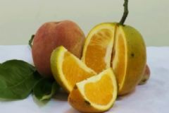 橘子和桃子能一起吃嗎？橘子和桃子一起吃好嗎？[多圖]