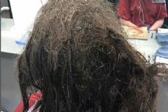 理發(fā)師將欲剃光頭女孩重塑形象 頭發(fā)打結(jié)嚴(yán)重如何能還原？[圖]