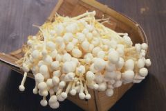 金針菇的熱量是多少？金針菇的熱量高嗎？[多圖]