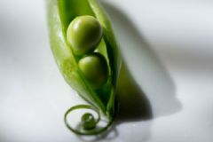 吃豌豆會(huì)發(fā)胖嗎？豌豆會(huì)長胖嗎？[多圖]