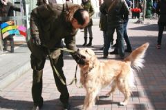 獨(dú)居老人洗澡摔傷致死身有咬痕，疑家犬拖拽救主未成功[多圖]
