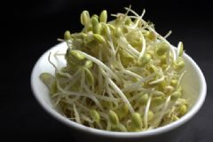 吃豆芽會(huì)胖嗎？豆芽會(huì)不會(huì)讓人長(zhǎng)胖？[多圖]