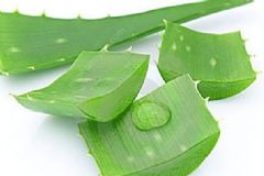 夏季皮膚防曬小常識有哪些？鮮蘆薈汁可以治曬傷嗎？[圖]