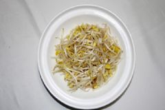 豆芽是酸性還是堿性？豆芽是堿性食物嗎？[多圖]
