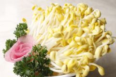 豆芽是發(fā)物嗎？豆芽屬于發(fā)物嗎？[多圖]
