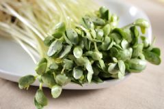 豆芽可以生吃嗎？豆芽生吃好嗎？[多圖]
