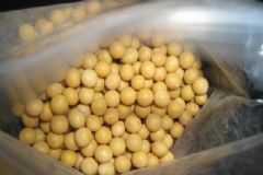黃豆吃多了會放屁嗎？黃豆吃多了會拉肚子嗎？[多圖]