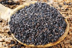 常吃什么食物可以改善發(fā)質(zhì)？哪些食物多吃對頭發(fā)好？[圖]