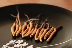 北蟲草和冬蟲夏草有什么區(qū)別？北蟲草和冬蟲夏草的區(qū)別是什么？[多圖]