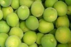 吃什么零食不會(huì)發(fā)胖？吃了不會(huì)發(fā)胖的零食有哪些？[圖]