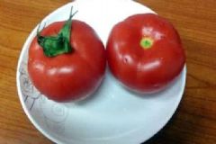 怎樣吃番茄可以減肥？如何吃番茄能減肥？[圖]