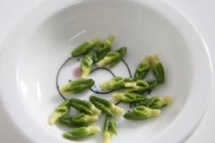 蓮子心可以吃嗎？蓮子心可以泡水喝嗎？[多圖]