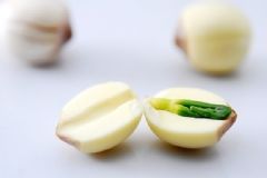 蓮子發(fā)苦能吃嗎？蓮子發(fā)苦怎么回事？[多圖]