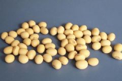 黃豆的熱量是多少？黃豆的熱量高嗎？[多圖]